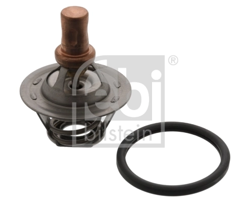 Thermostat, coolant